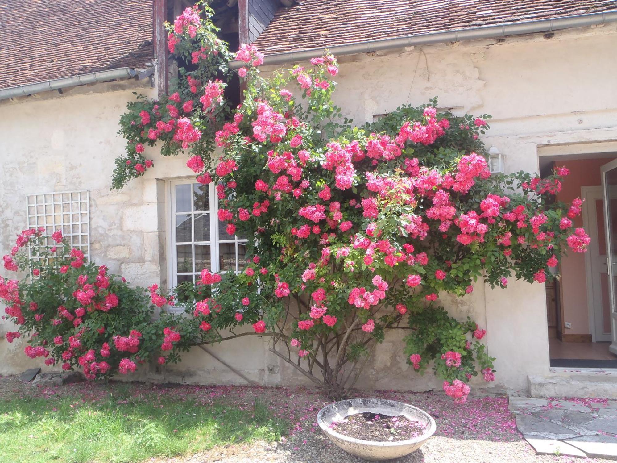 Saint-Germain-du-Puy Chambres D'Hotes Du Domaine De Jacquelin חדר תמונה